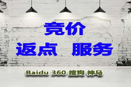 百度SEM广告策略在电商行业的成功案例