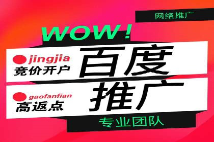 百度竞价排名策略解析及实战案例